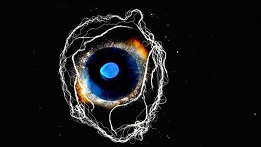 artwork by Susan Aldworth: long black background with a central ambiguous image resembling both a human eye and a blue and yellow galaxy, around which long stringls of white float like electricity or the tendrils of a nervous system cells