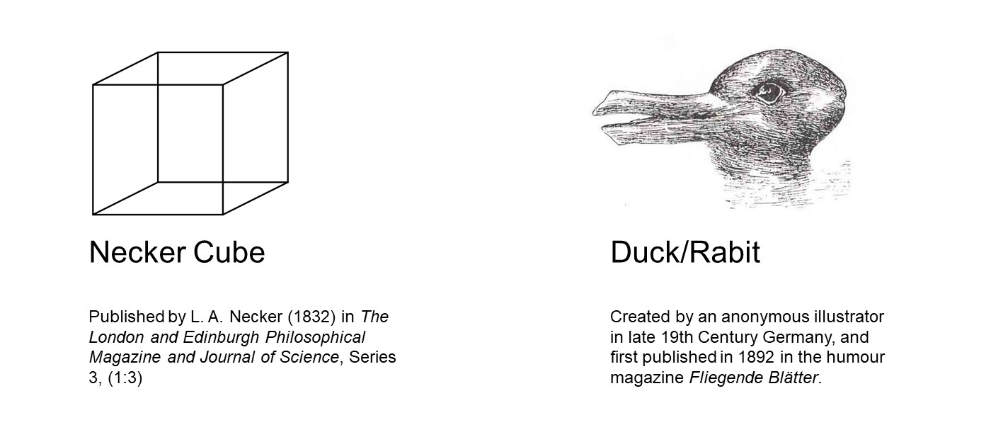 First image: Necker Cube: 12 black lines intersecting on a white background to create a cube. Lack of depth creates an uncertainty over which lines are closer or farther from the viewer. Second image: Duck/Rabbit: a sketch of an animal that looks both like a duck with its bill facing to the left and a rabbit with its muzzle facing to the right, horizontal ears extending into previous duck's bill 