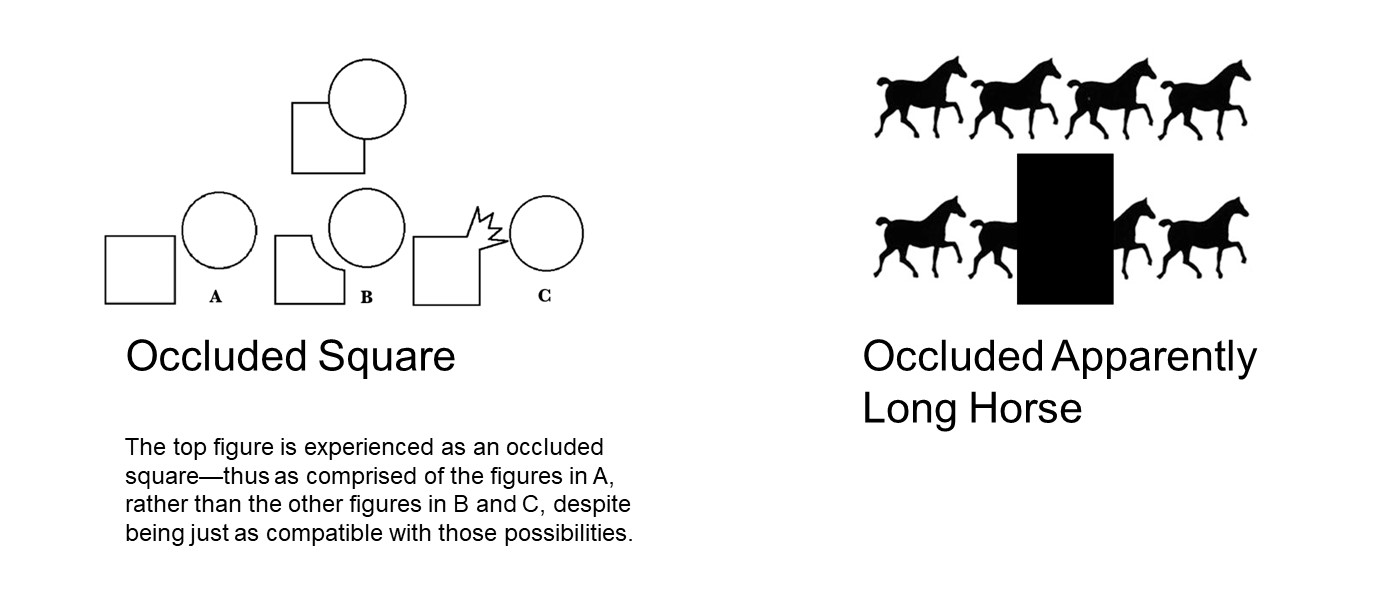 First image: flat round figure partially obscuring corner of flat square figure, with 3 possibilities of what the round figure hides: complete square; incomplete square missing corner; or square with an extension. Second image: 4 horse silhouettes on top line, repeated on bottom line with dark box hiding the front of a horse and the back of the next so it looks like 1 'long horse' between 2 horses