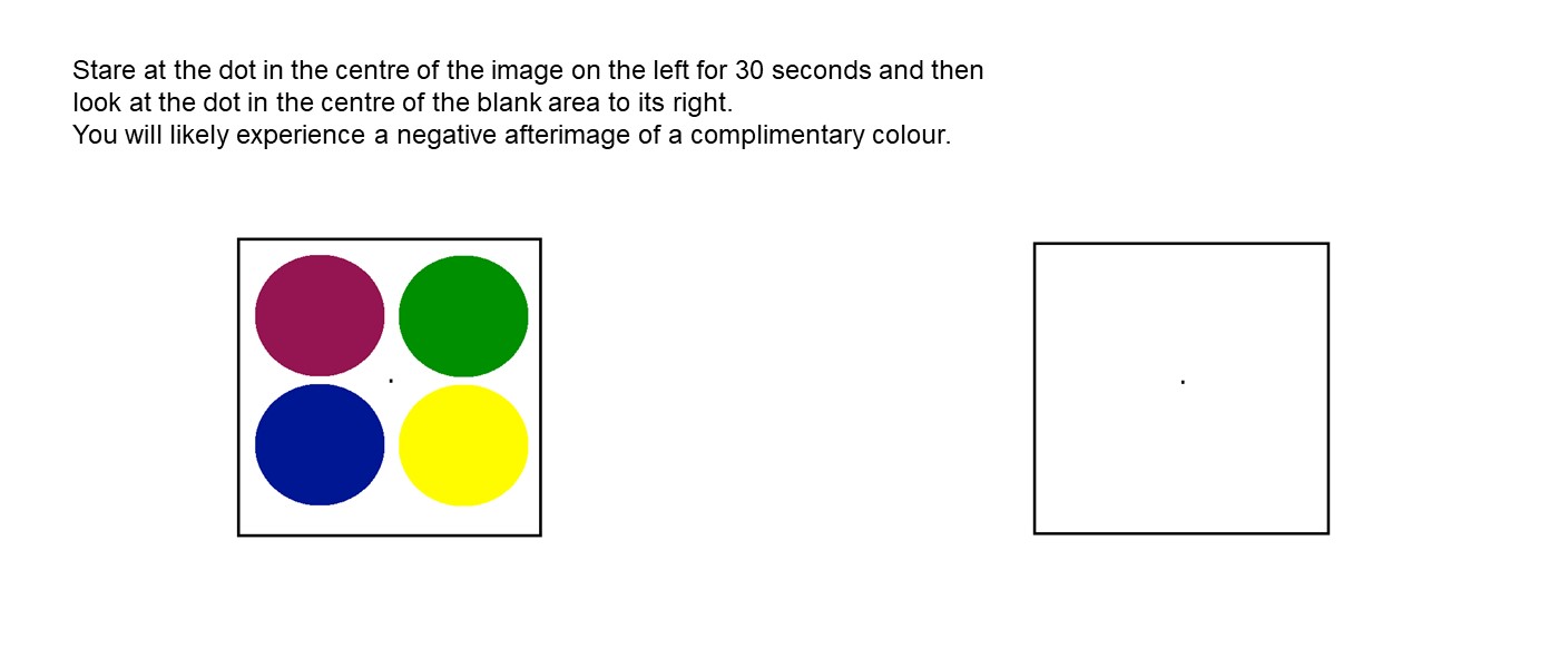 A black-lined square containing four coloured circles and a dot in the middle, and a second empty box of similar size. The text reads: Stare at the dot in the centre of the image on the left for 30 seconds and then look at the dot in the centre of the blank area to its right. You will likely experience a negative afterimage of a complimentary colour
