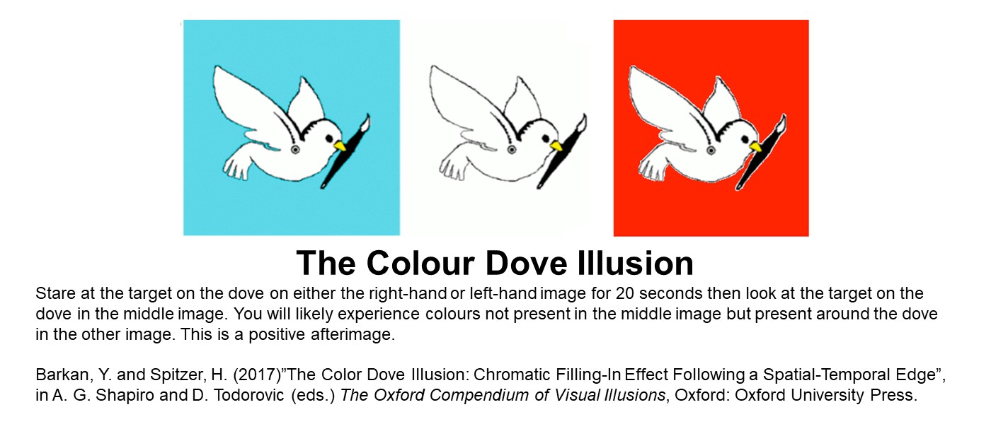 three boxes with a drawing of a white dove helding a black paintbrush, on red, white and blue background respectively. Text reads: Stare at the target on the dove on either the right-hand or left-hand image for 20 seconds then look at the target on the dove in the middle image. You will likely experience colours not present in the middle image but present around the dove in the other image